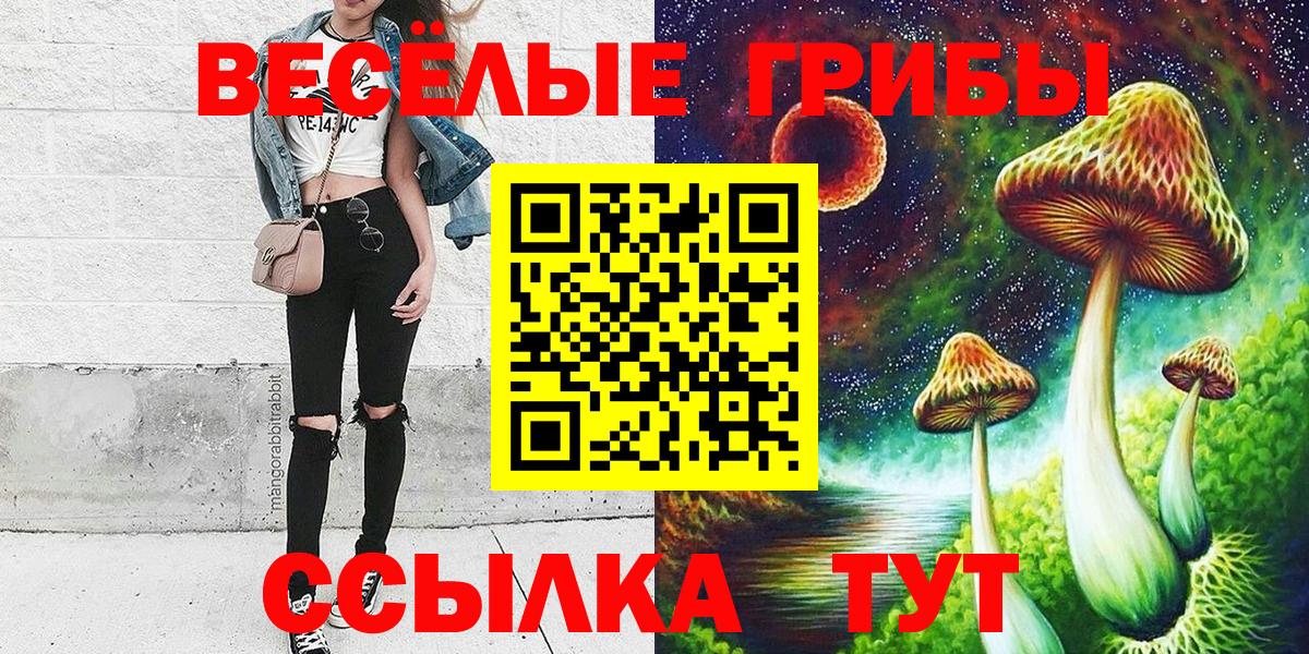 Галлюциногенные грибы GOLDEN TEACHER  Вход с VPN  Углич  Псилоцибиновые грибы MAGIC MUSHROOMS 