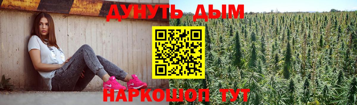 Конопля тримм  МАРИХУАНА тримм  Углич  Вход с VPN 
